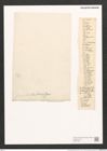 Orthoneis fimbriata (Ehr.) Grun. (de-Toni-Nr.: Genus 41, Species 1907) Zeichnungen Sammlung Grunow (NHMW-BOT-W0371453)